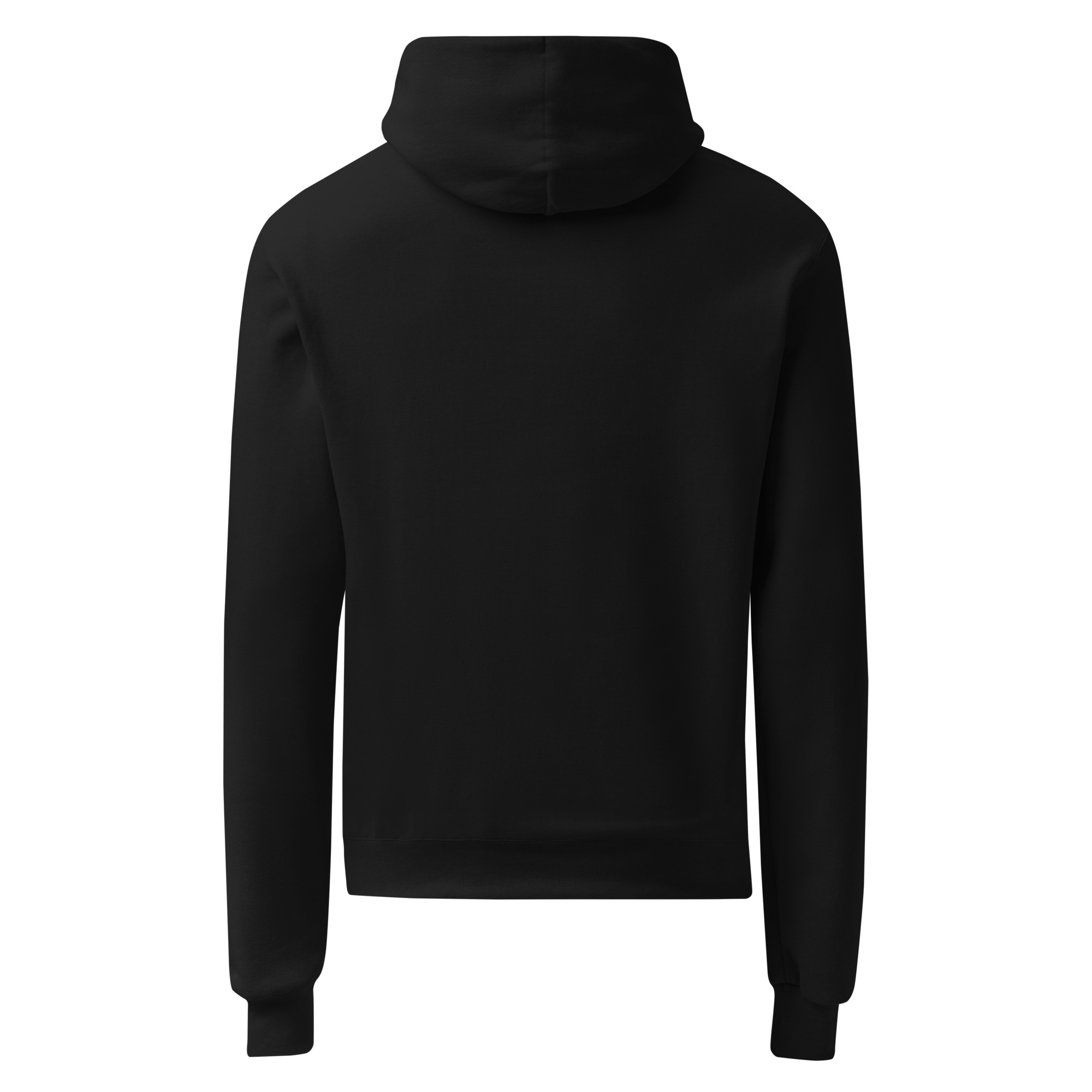 unisex-champion-hoodie-black-back-684153bf3bac4.jpg
