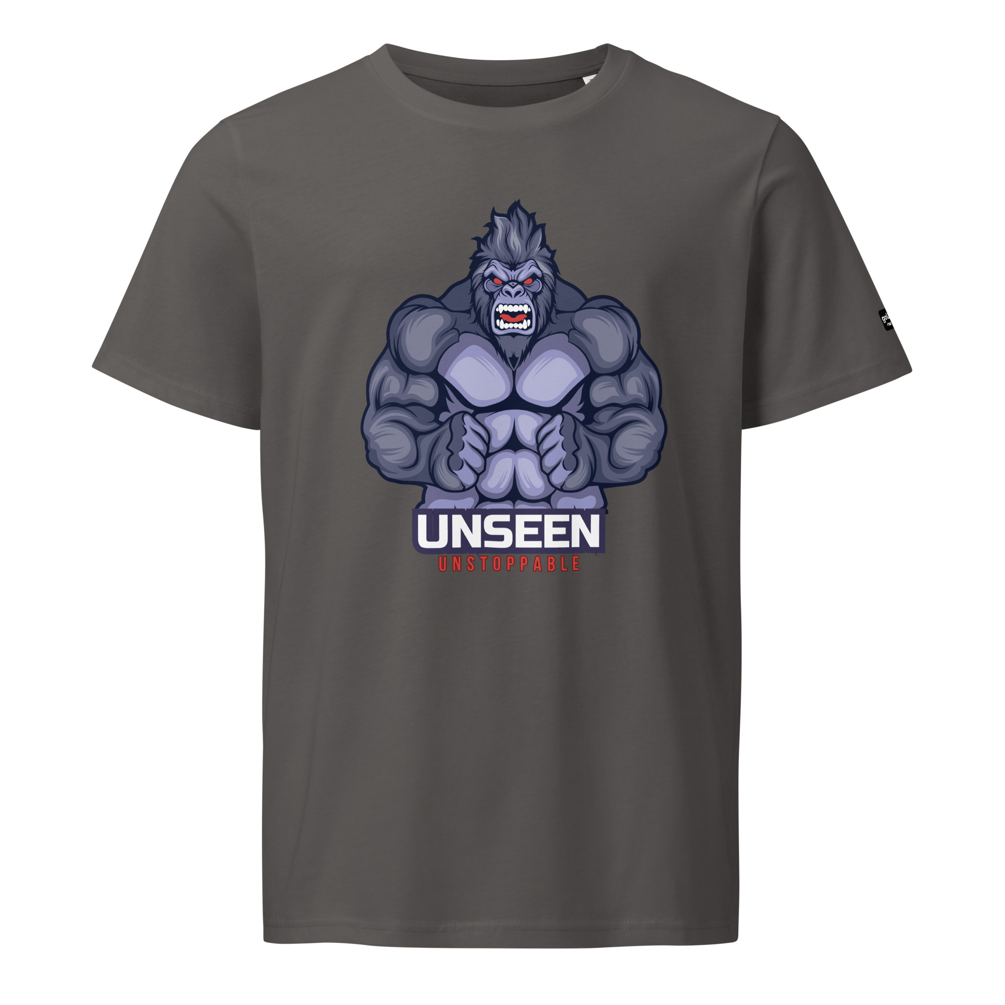 unisex-organic-mid-light-t-shirt-anthracite-front-684047f69318e.jpg