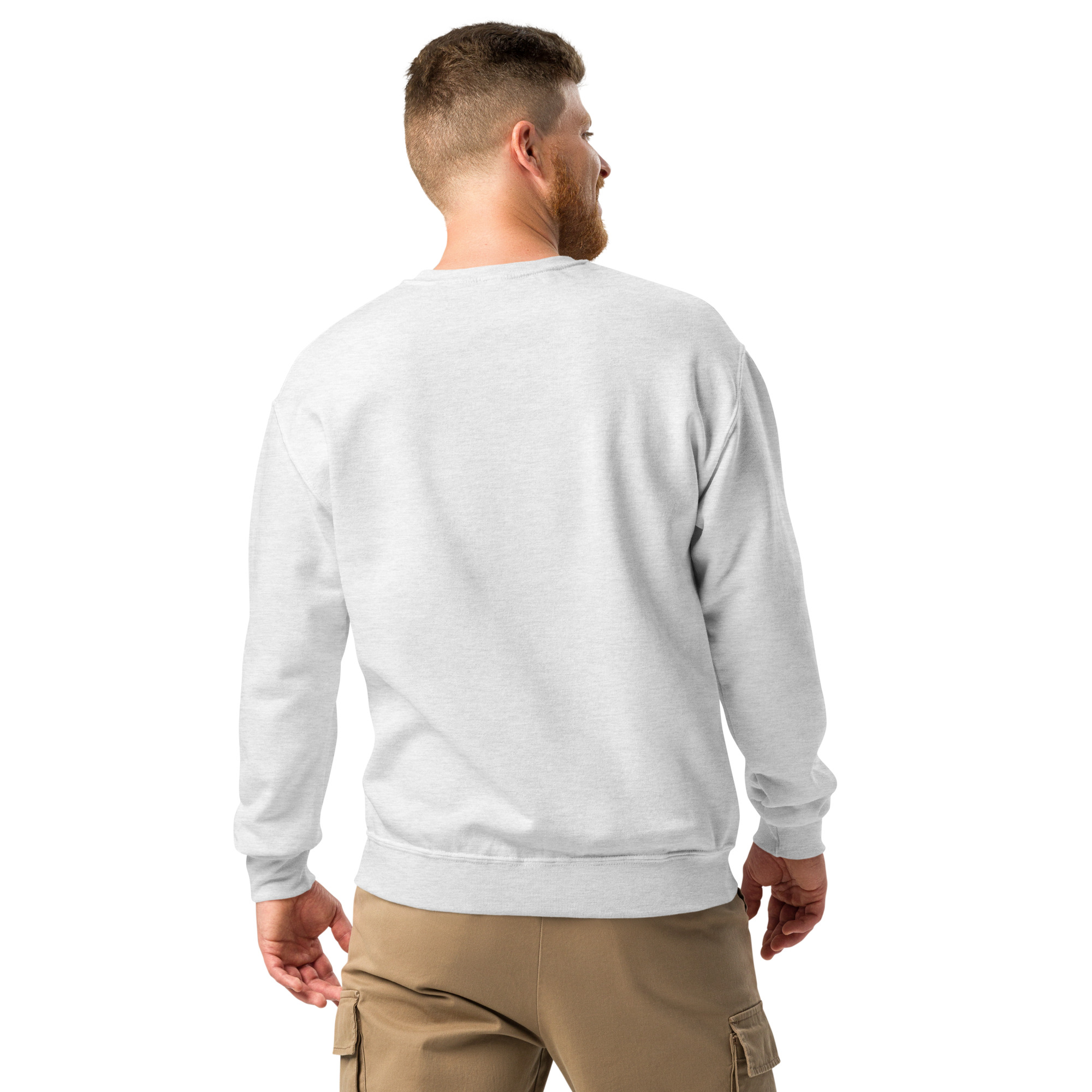 classic-unisex-crew-neck-sweatshirt-ash-back-6888f5628da34.jpg