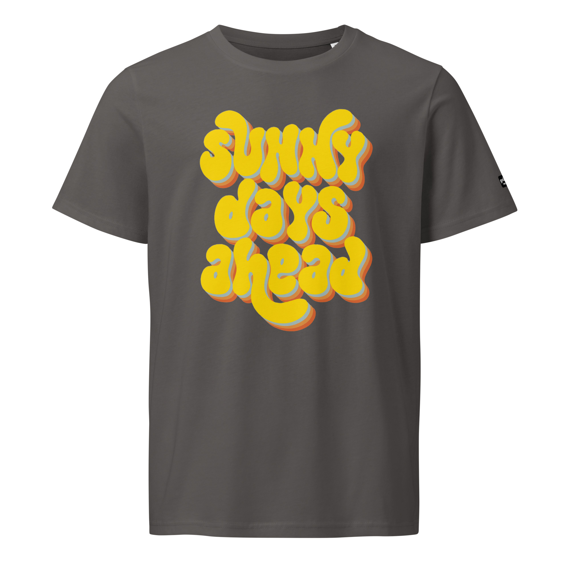 unisex-organic-mid-light-t-shirt-anthracite-front-68893ee6ae74c.jpg
